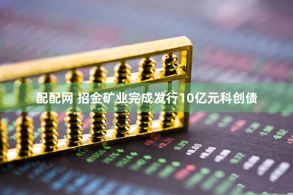 配配网 招金矿业完成发行10亿元科创债